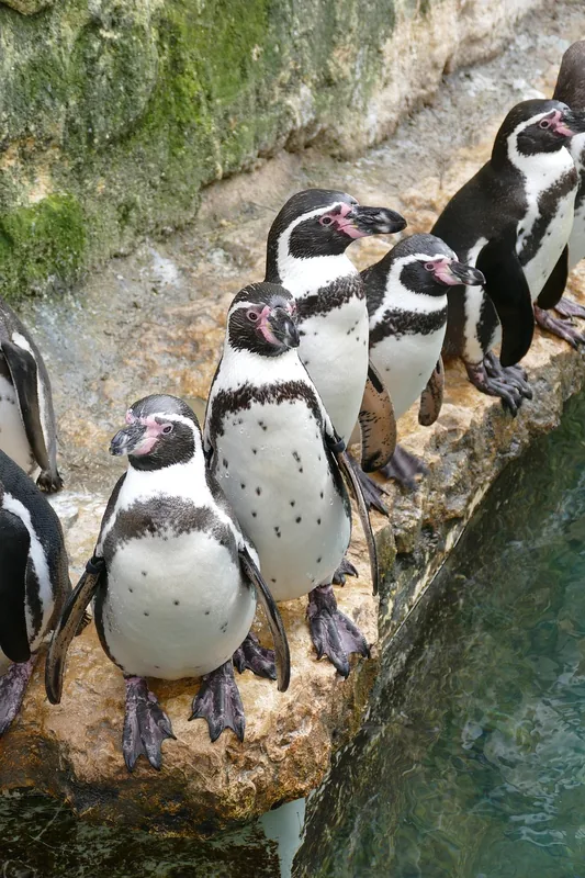Bioparque Estrella — Bernal (Mexico)