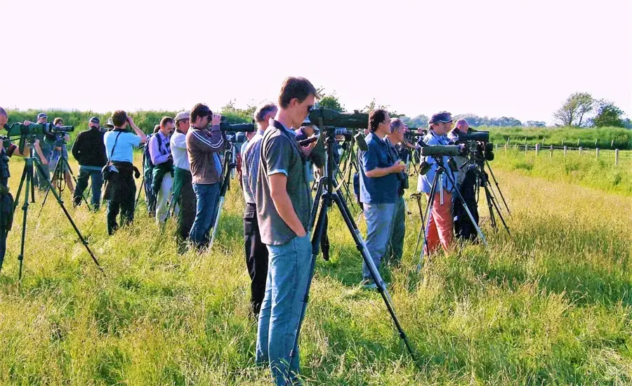 Observarea păsărilor în nord — Tamale (Ghana)