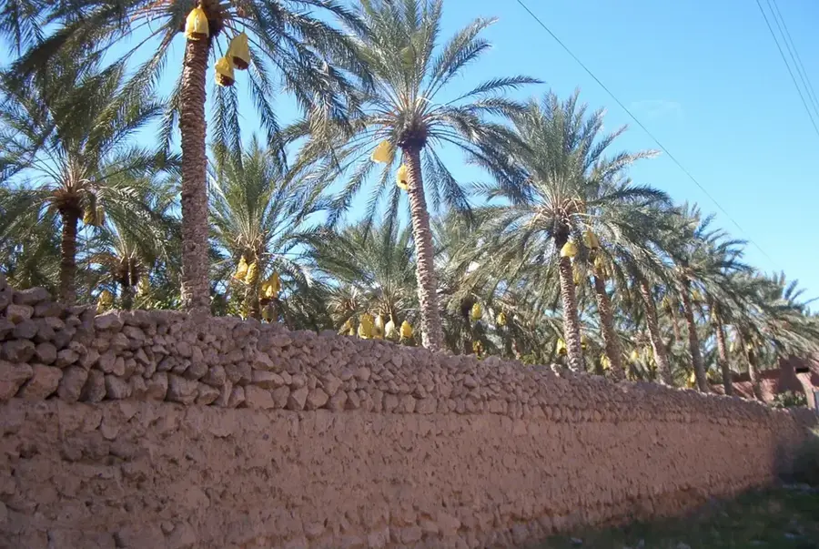 Biskra — Boma-Nationalpark (Südsudan)