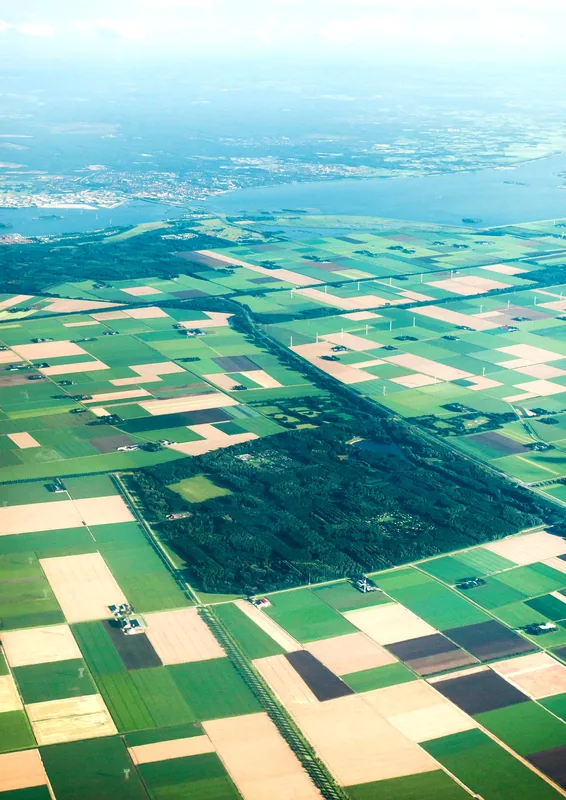 Black Bush Polder