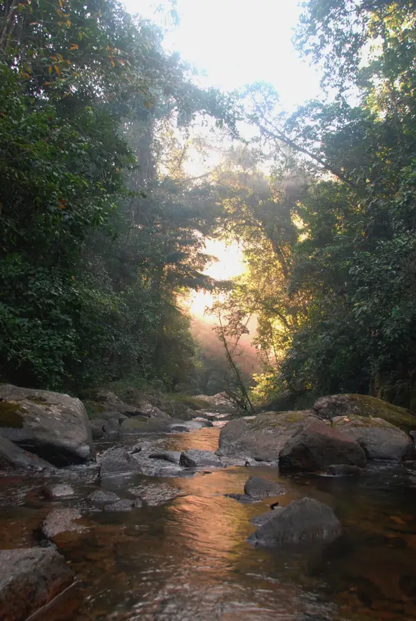 Bladen Branch Tal — Toledo Küstenhügel (Belize)