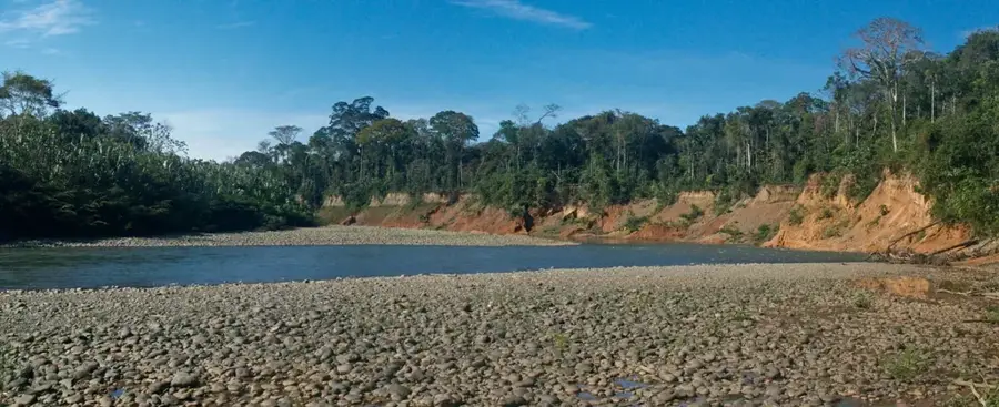 Madidi Nemzeti Park