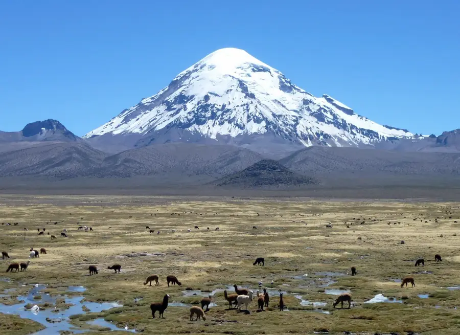 Nevado Sajama — Tunupa Volcano (Bolivia)