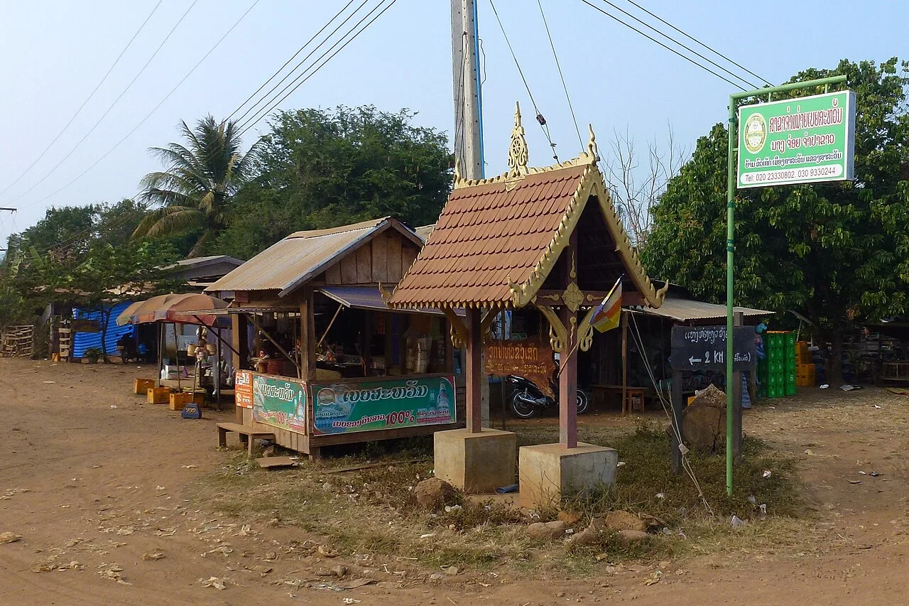 Bolaven-Kaffeeplantagen — Salavan (Laos)