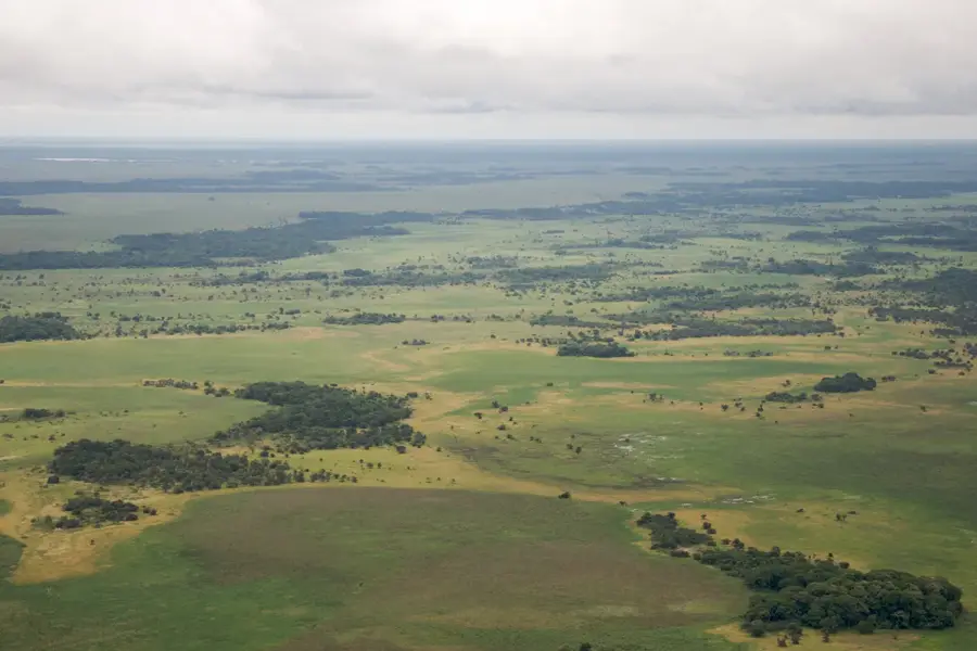 Llanos de Moxos — Serranía de San Simón (Bolivia)
