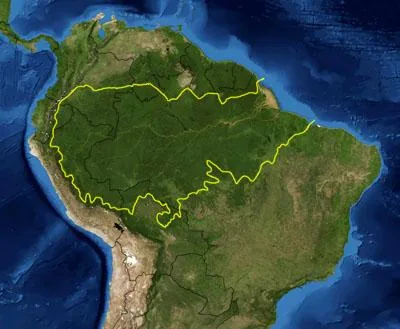 Bolivianischer Amazonas-Regenwald — Paranuss-Erntegebiet Pando (Bolivien)