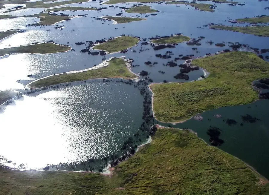 Bolivian Pantanal