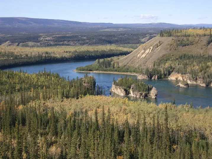 Borealer Nadelwald Kanadas
