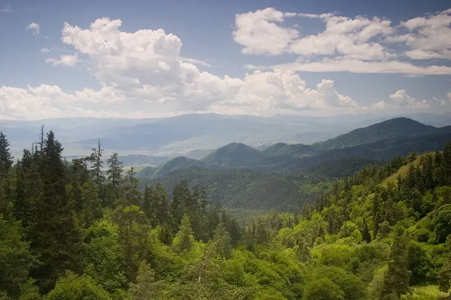 Borjomi-Kharagauli National Park