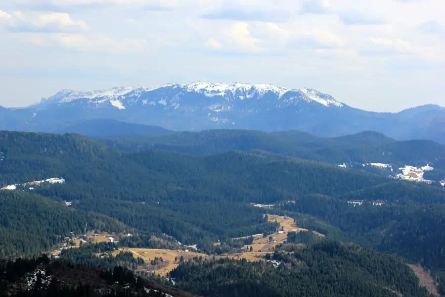 Jahorina