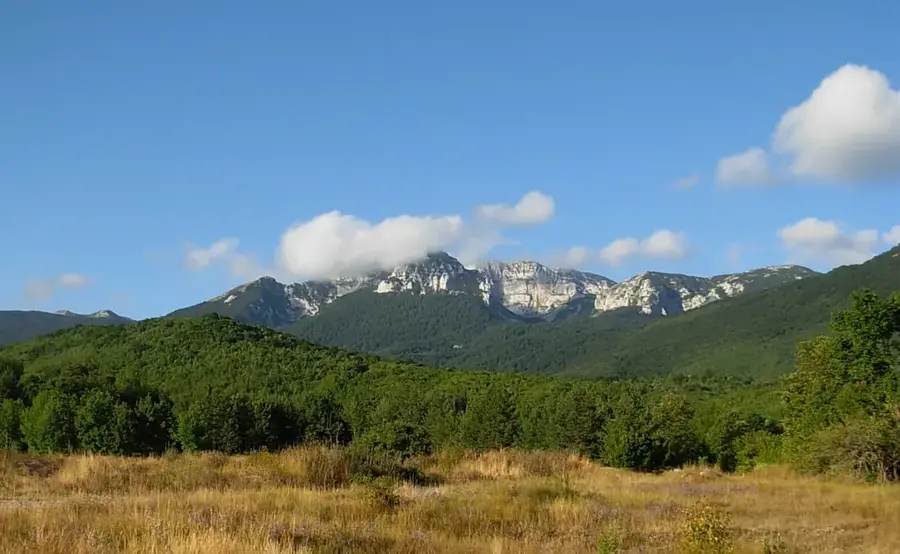 Dinara (Troglav)