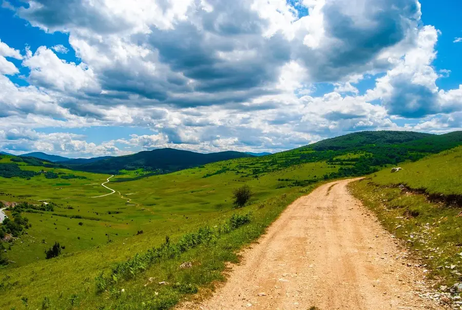 Manjača