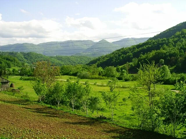 Šekovići
