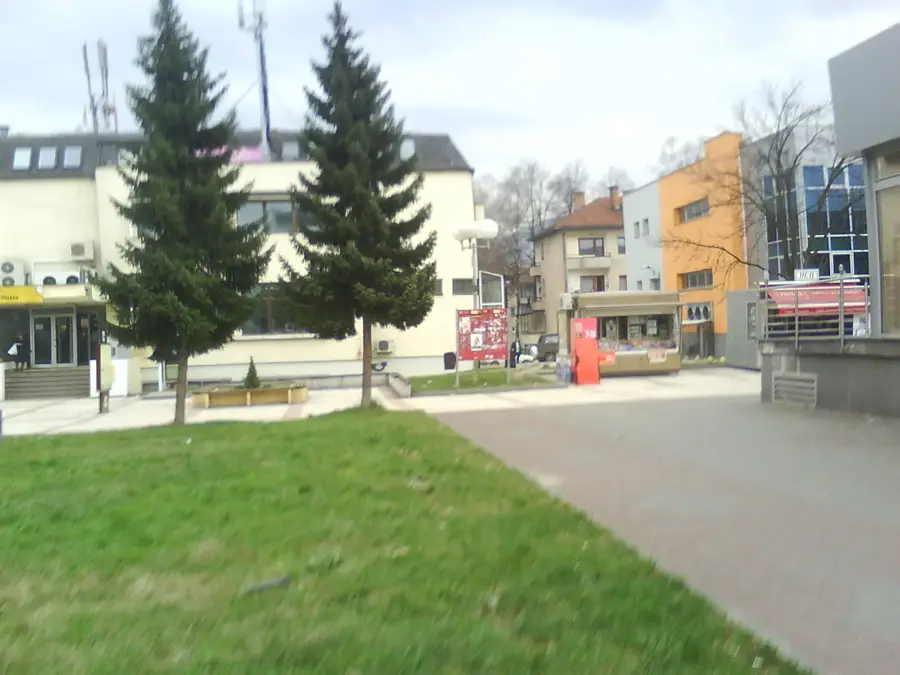 Vitez