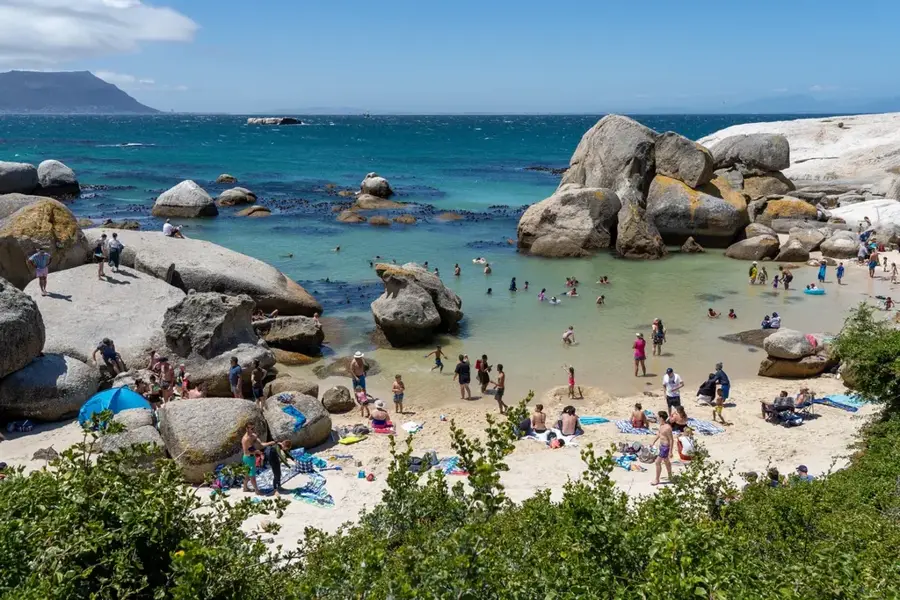 Pinguinii de pe Boulders Beach