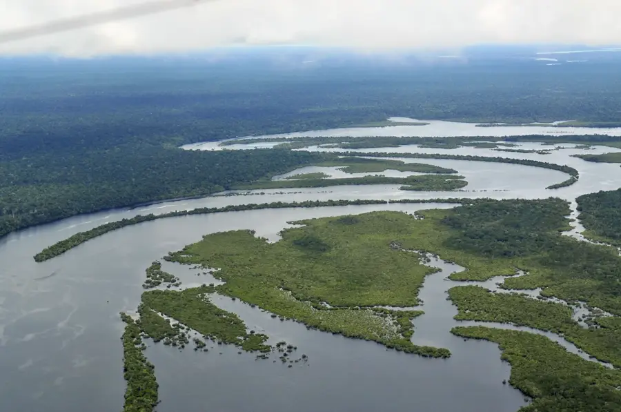 Amazonas-Regenwald — Amazonas (Brasilien)