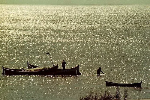 Mirim Lagoon