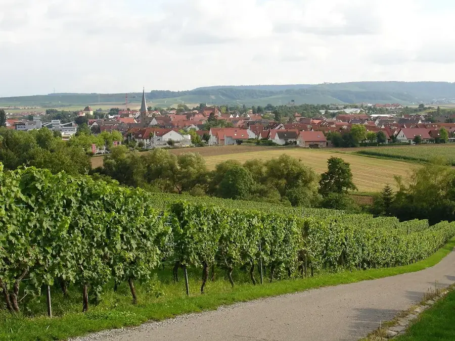 Brackenheim – city