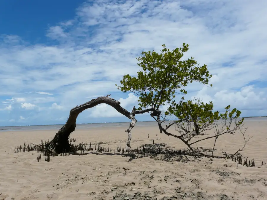 Boipeba