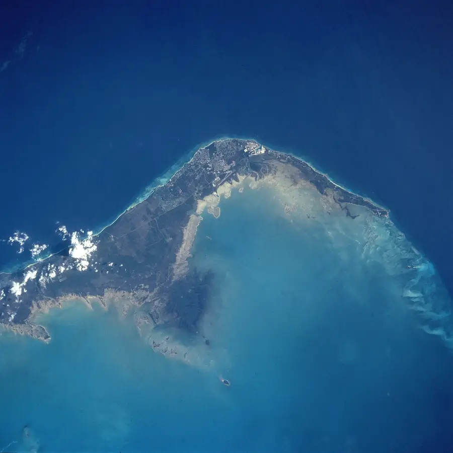 Grand Bahama Shipyard — Meerestrauben-Ernte (Bahamas)