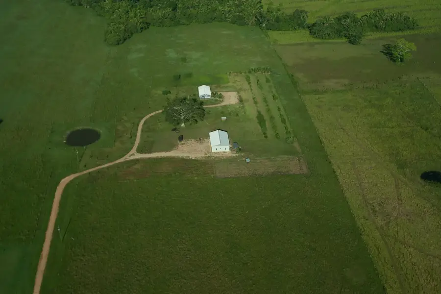 Buena Vista (Cayo)