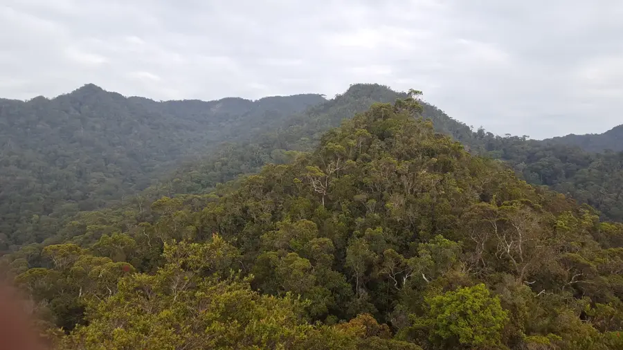 Bukit Pagon