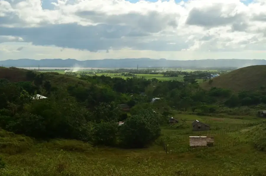 Bula