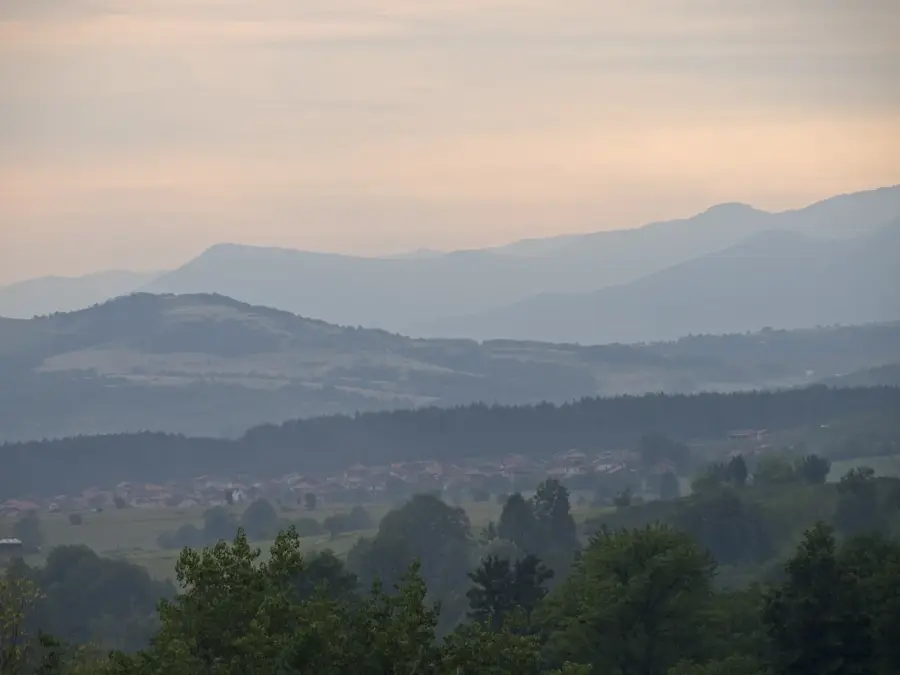 Berkovitsa
