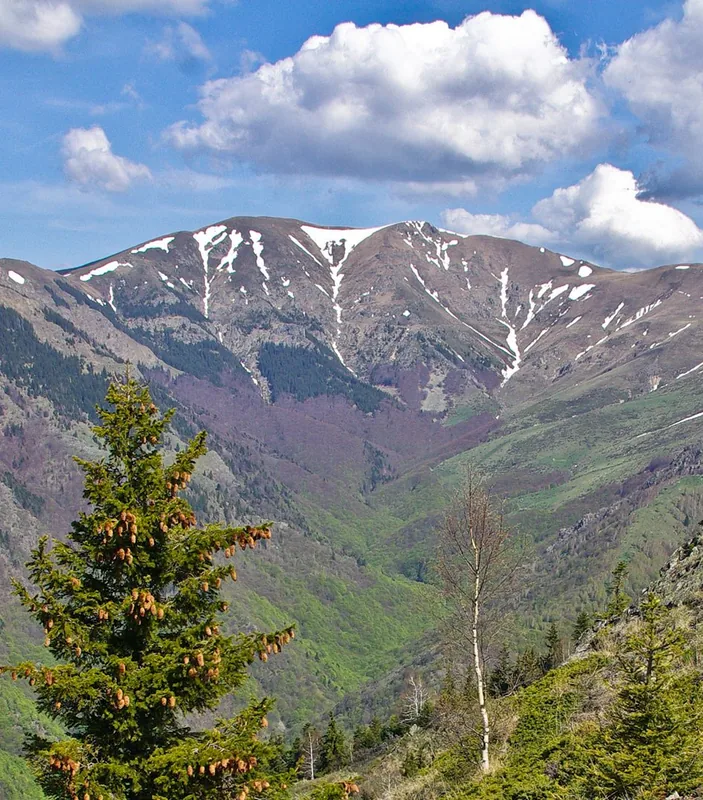Central Balkan National Park