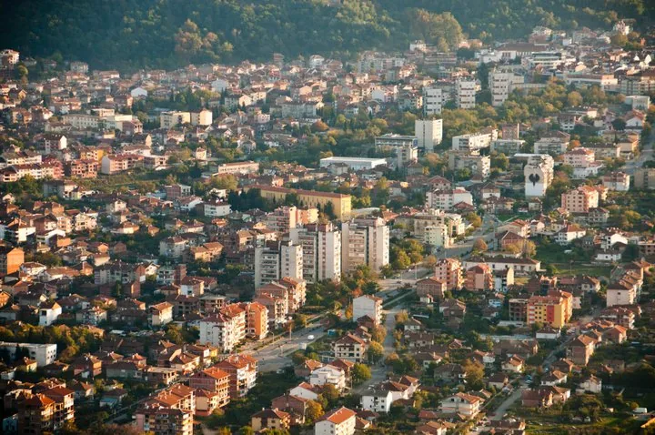 Petrici