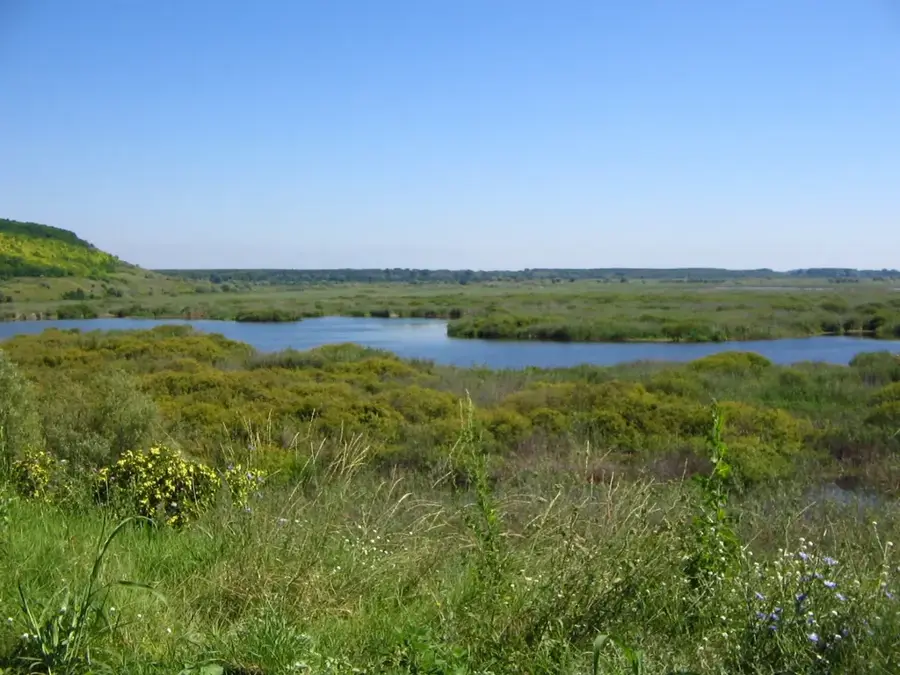 Biosphärenreservat Srebarna — Borcea (Rumänien)
