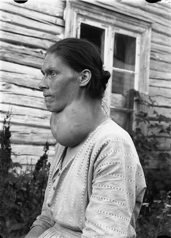 Câmpia Struma
