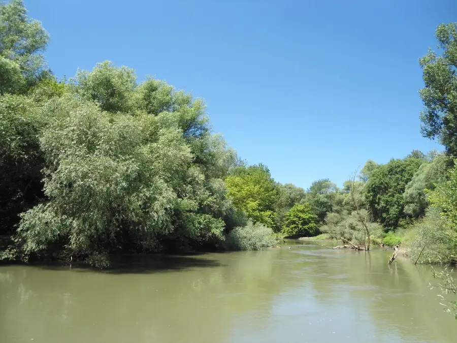 Tundscha-Tal — Wadi ar-Rummah (Saudi-Arabien)