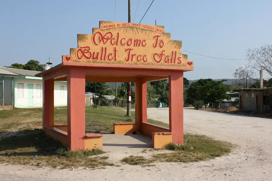 Bullet Tree Falls — Teakettle (Belize)