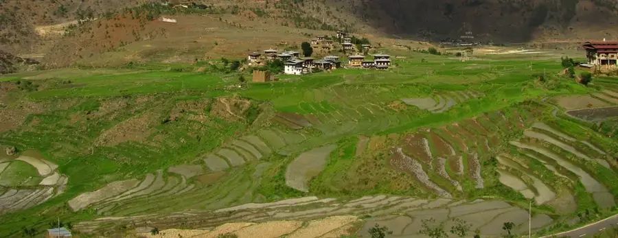 Bumthang Apple Orchards — Laya (Bhutan)