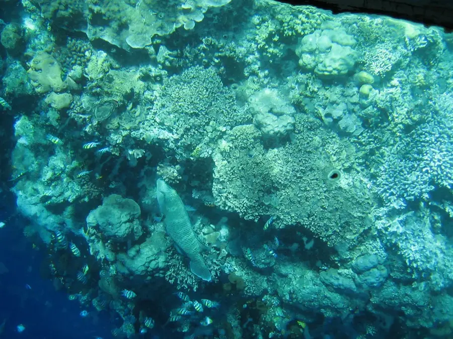 Parcul Național Marin Bunaken — Manado (Indonezia)