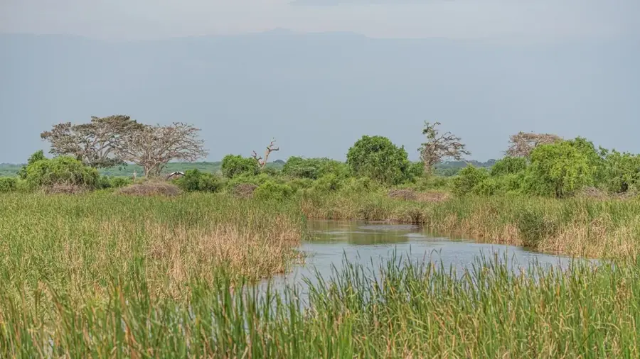 Bundala-Nationalpark — Okanda (Sri Lanka)