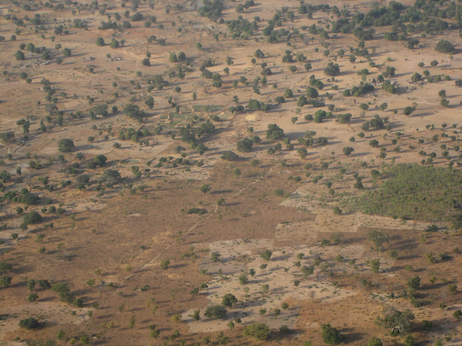 Bazoulé