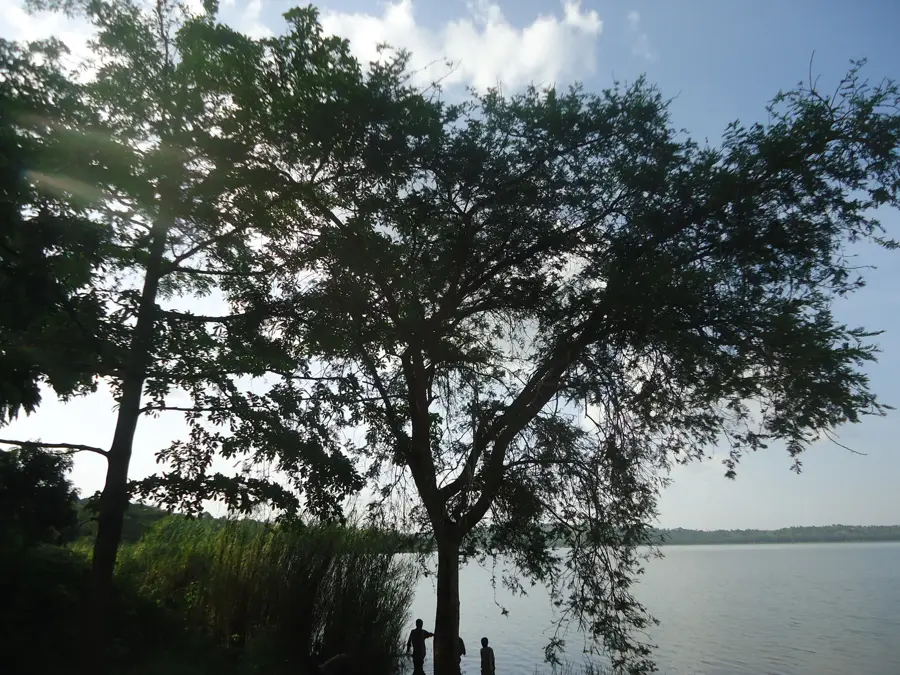 Lake Rwihinda Nature Reserve