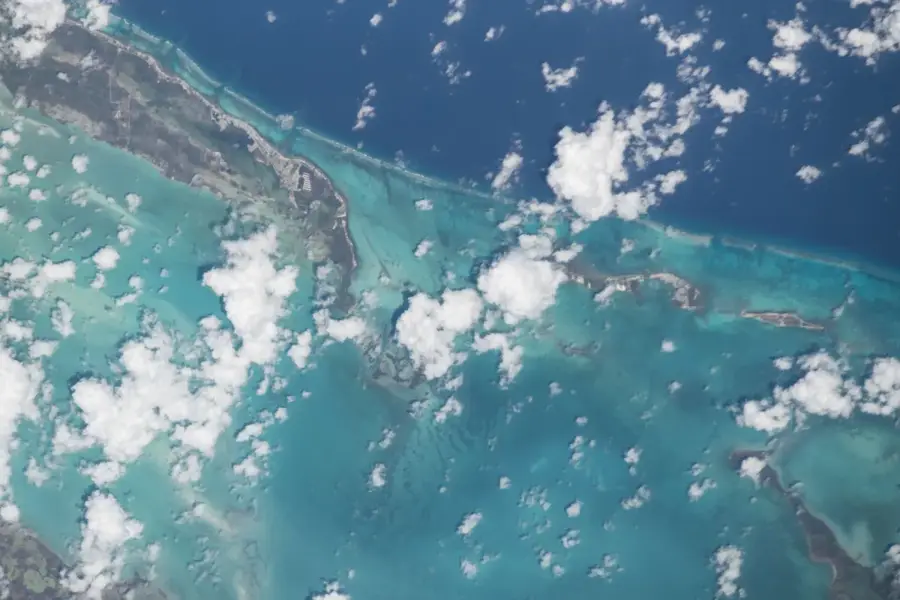 Caye Southern Long