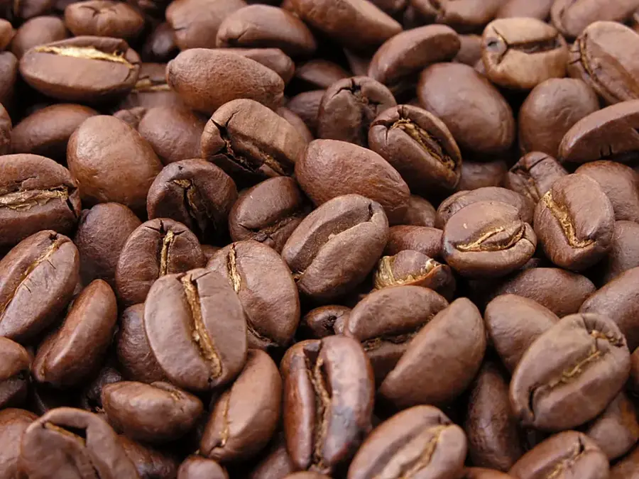 Kaffeefabrik Café Soluble — Platz der Revolution (Nicaragua)