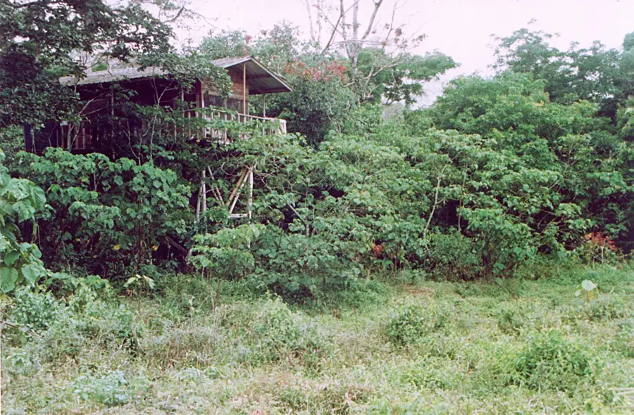 Lobéké Nemzeti Park