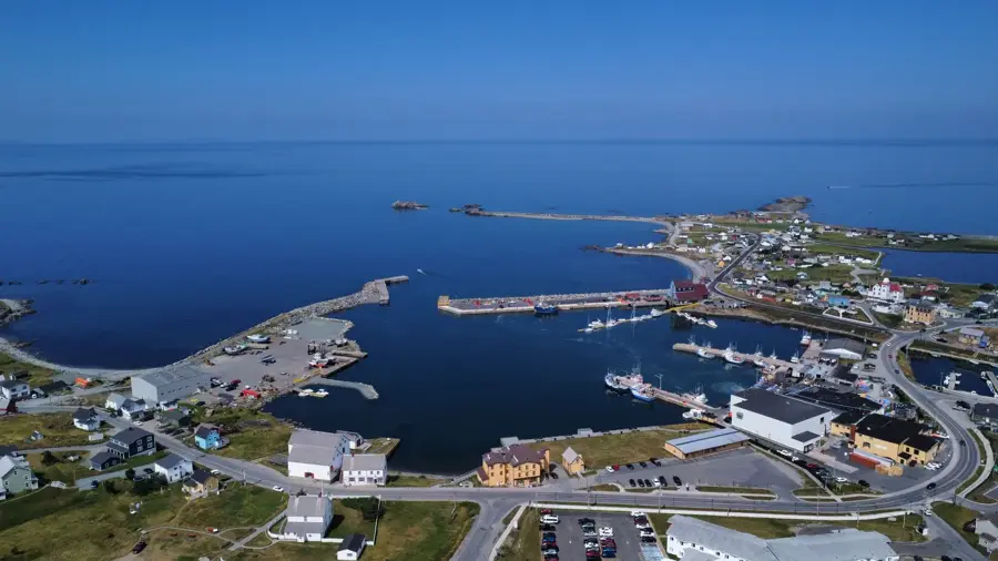 Bonavista