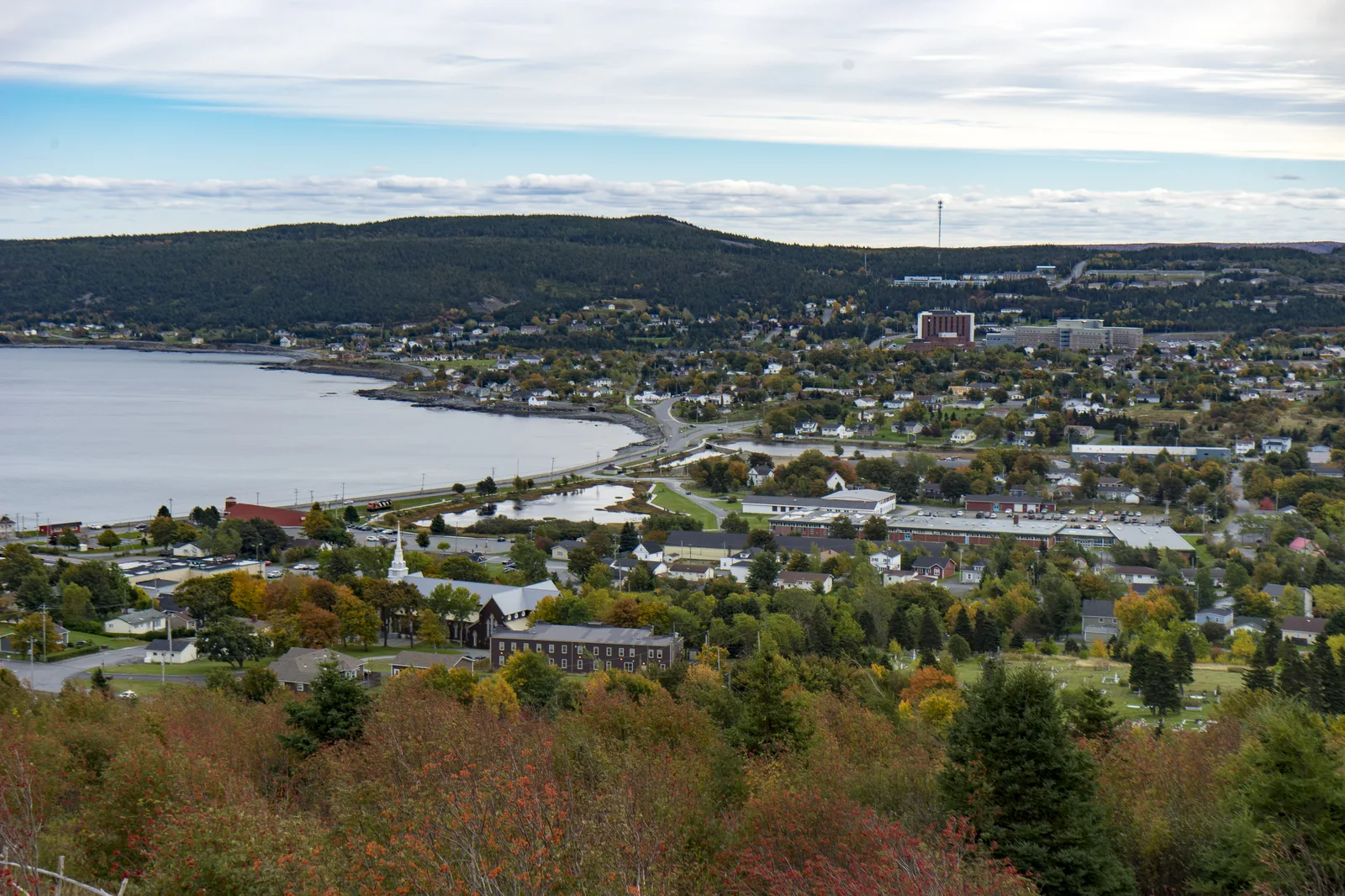 Carbonear — Trinity (Canada)