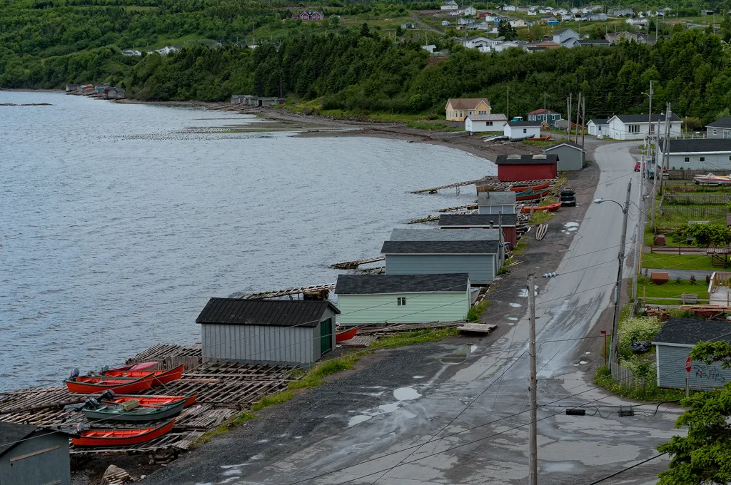 Cox's Cove