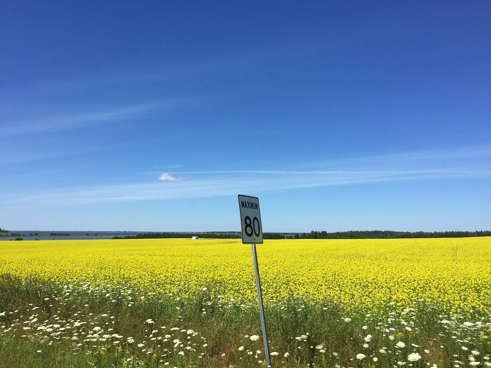 Malpeque — Percé (Kanada)