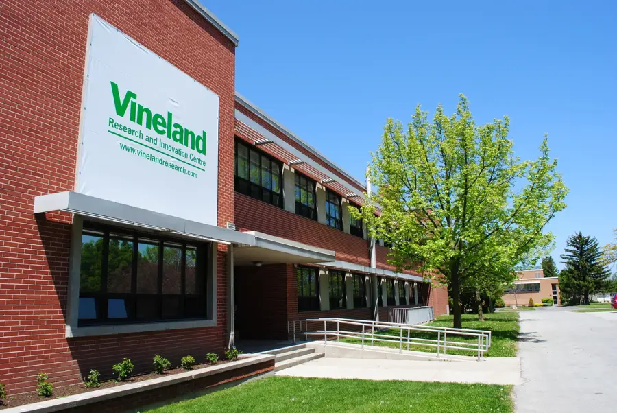 Weinbauregion Niagara (Beamsville/Vineland)
