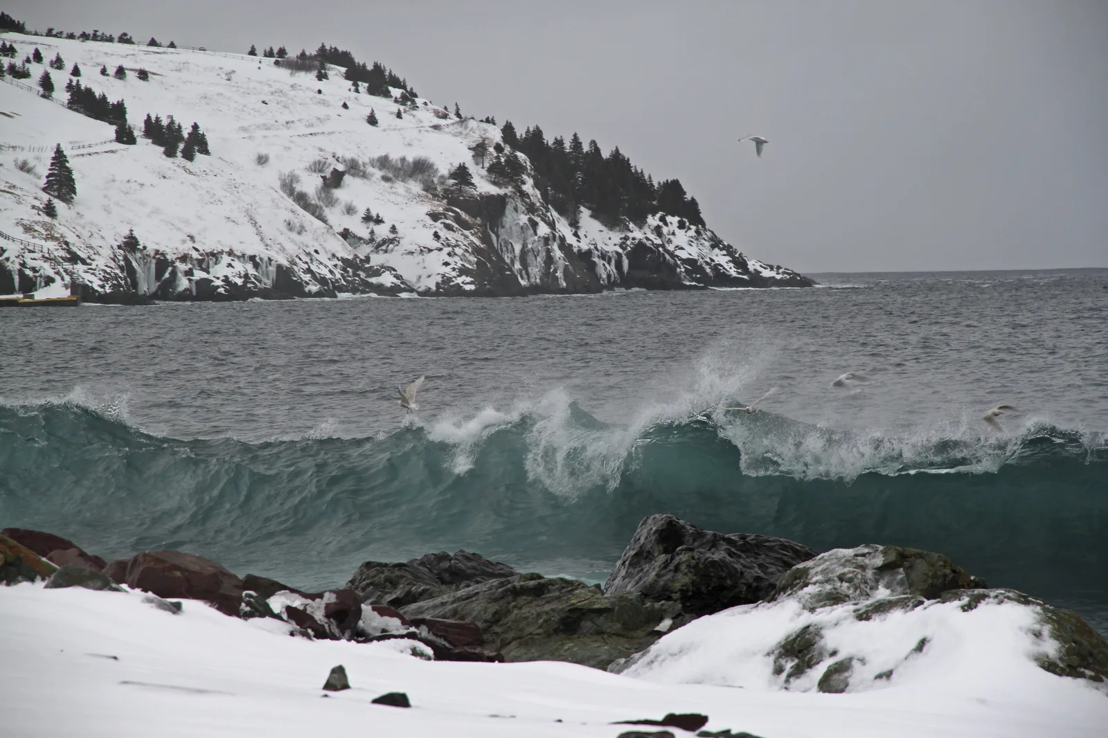 Torbay — Trinity (Canada)