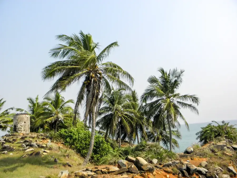 Cape Three Points