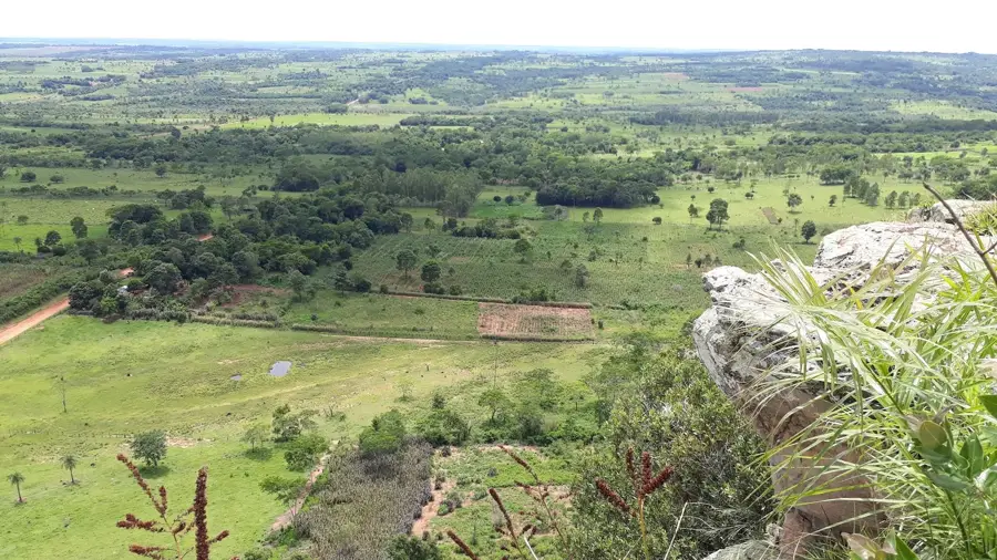 Capiibary — Repatriación (Paraguay)